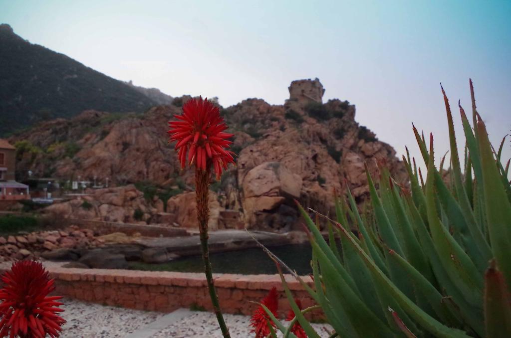 Brise De Mer Porto  Dış mekan fotoğraf